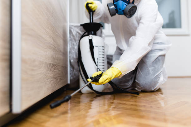 Best Commercial Pest Control Services  in Riverton, NJ