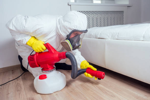 Insect Control in Riverton, NJ