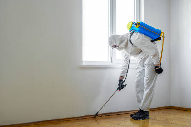 Best Rat Extermination Near Me  in Riverton, NJ