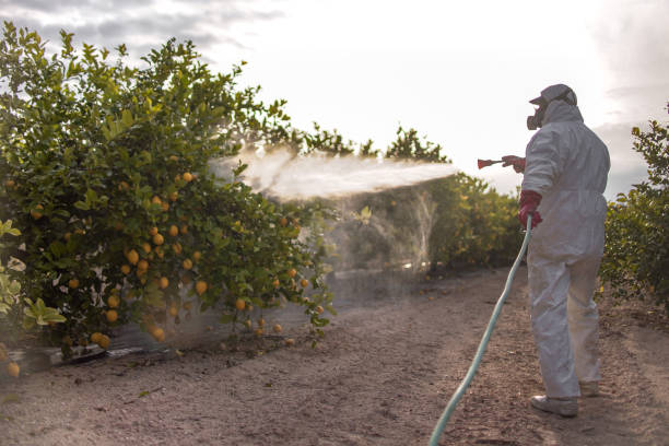 Best Wildlife Control Services  in Riverton, NJ