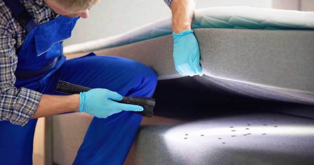 Best Flea Control Services  in Riverton, NJ