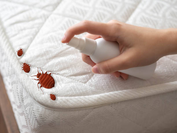 Best Pest Inspection Near Me  in Riverton, NJ