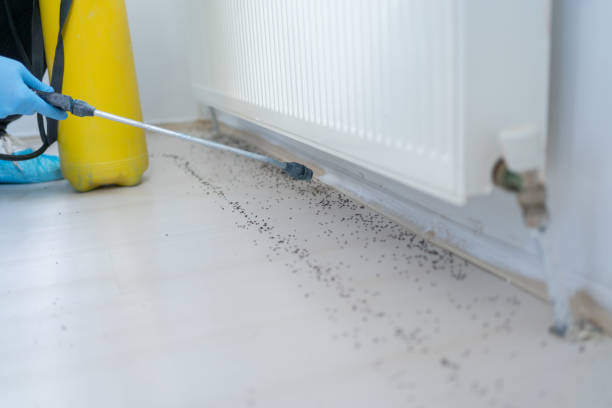 Best Best Pest Control Companies  in Riverton, NJ